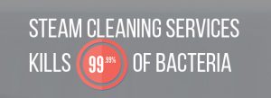 steam cleaning services banner