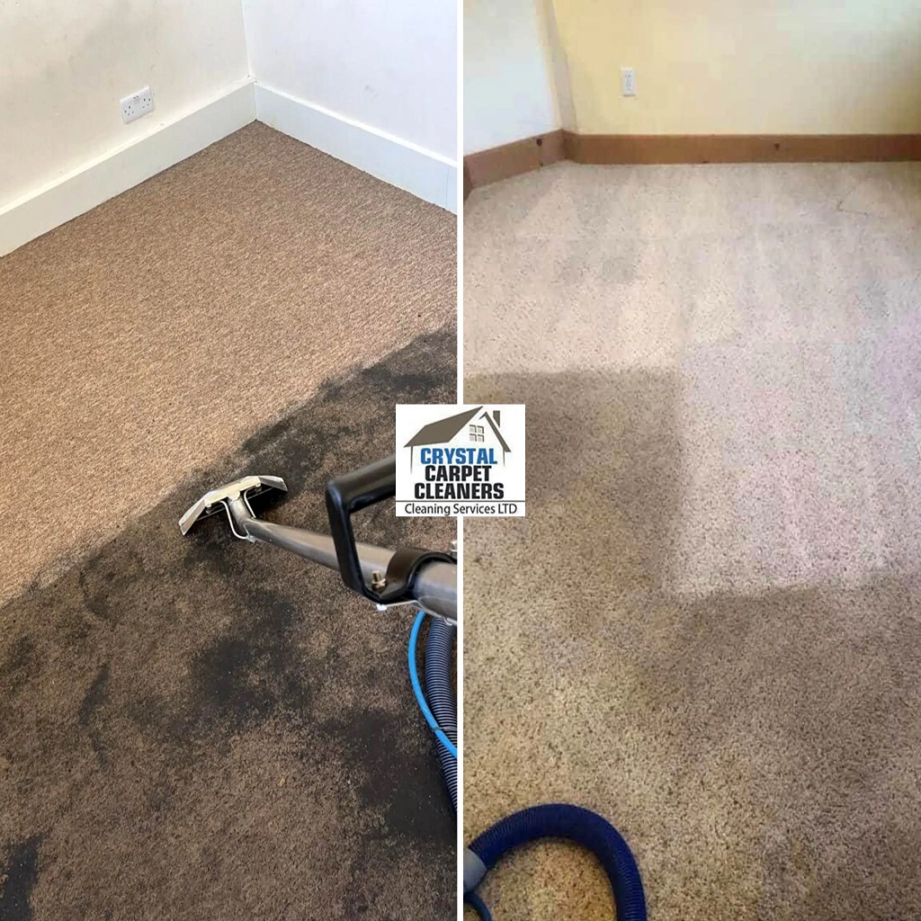 Professional carpet stain removal before and after comparison